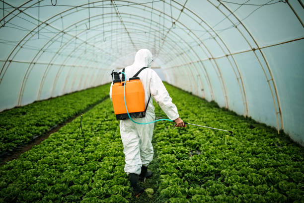 Best Pest Prevention Services  in Las Quintas Fronterizas, TX