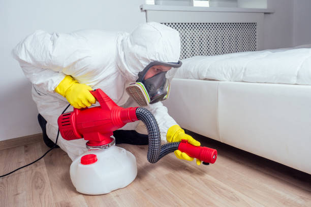 Best Flea Control Services  in Las Quintas Fronterizas, TX