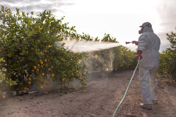 Best Rodent Control Near Me  in Las Quintas Fronterizas, TX