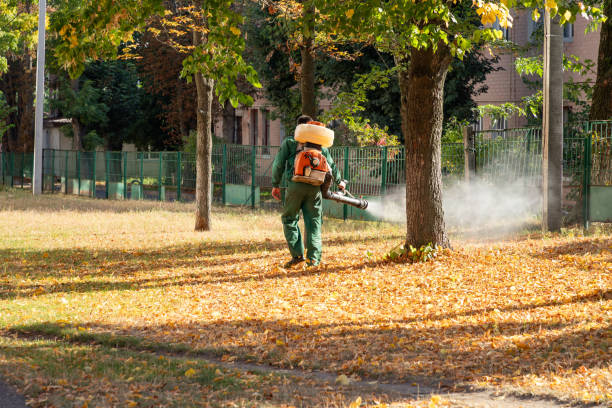 Best Pest Control Near Me  in Las Quintas Fronterizas, TX