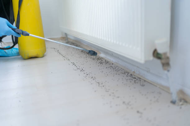 Pest Control Cost in Las Quintas Fronterizas, TX